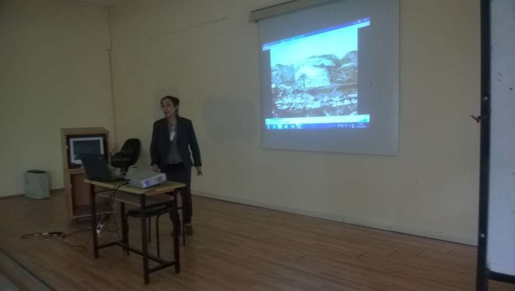 WP_20141013_004-1024