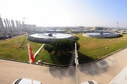 aritmacamurutarimalanlarindadegerlenecek