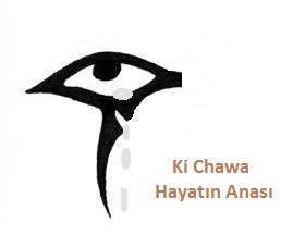 Kadına Yönelik Şiddet 